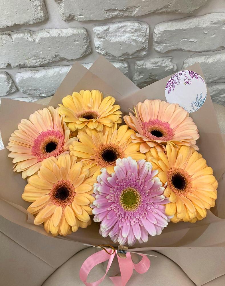 Букет цветов из: Герберы в Княжево