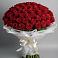 Букет 101 Красная роза Блэк Мэджик в Княжево