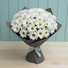 Букет цветов из:  Хризантемы в Княжево