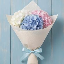 Букет цветов из:  Гортензия в Княжево