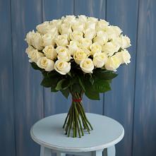 Букет 51 Белая роза Эдлесс Лав в Княжево