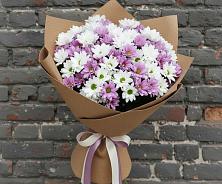 Букет цветов из:  Хризантемы в Княжево