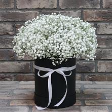Цветочная композиция из Гипсофила в шляпной коробке в Княжево