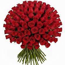 Букет Красные розы Чери Лав в Княжево