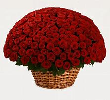 Премиум букет из: Розы в Княжево