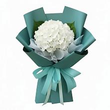Букет цветов из:  Гортензия #REPLACE_PRED# Княжево